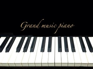 メッセナゴヤ2018 グランフィールピアノ ピアノ調律 グランドミュージックピアノ♪