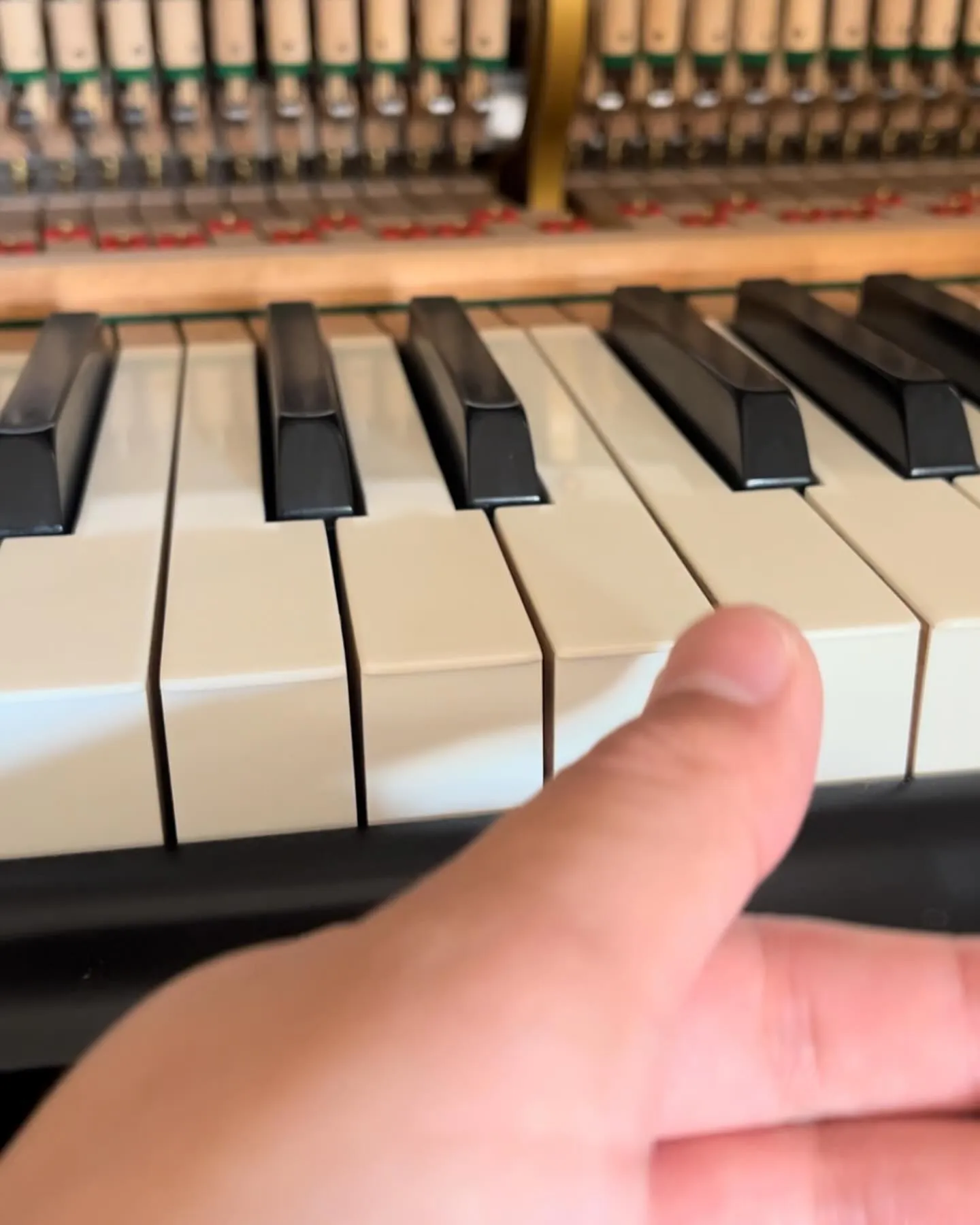 雑音しているピアノ鍵盤が戻らないピアノ調律 | ブログ | 名古屋の 