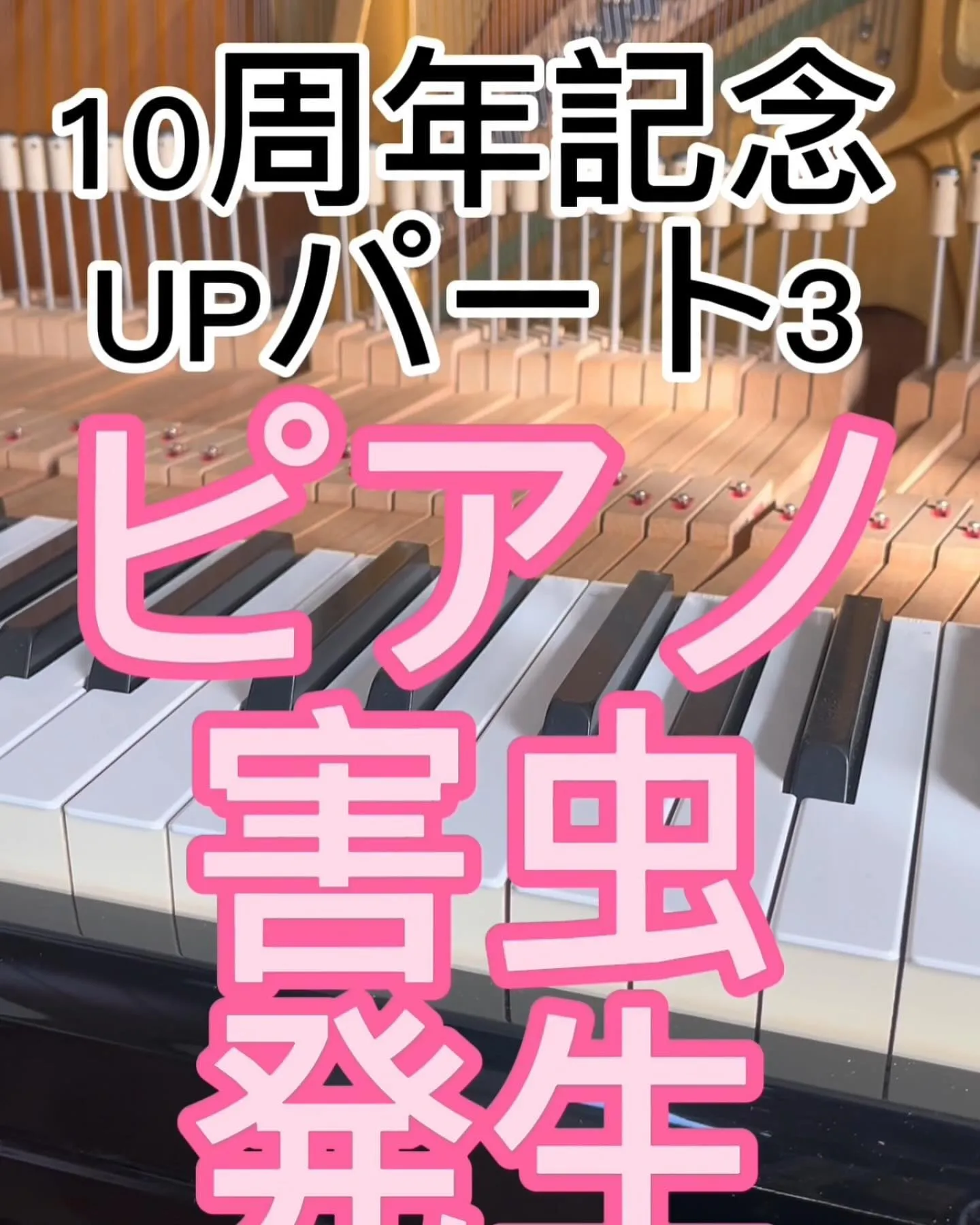 10周年記念パート3ピアノの中に虫発生