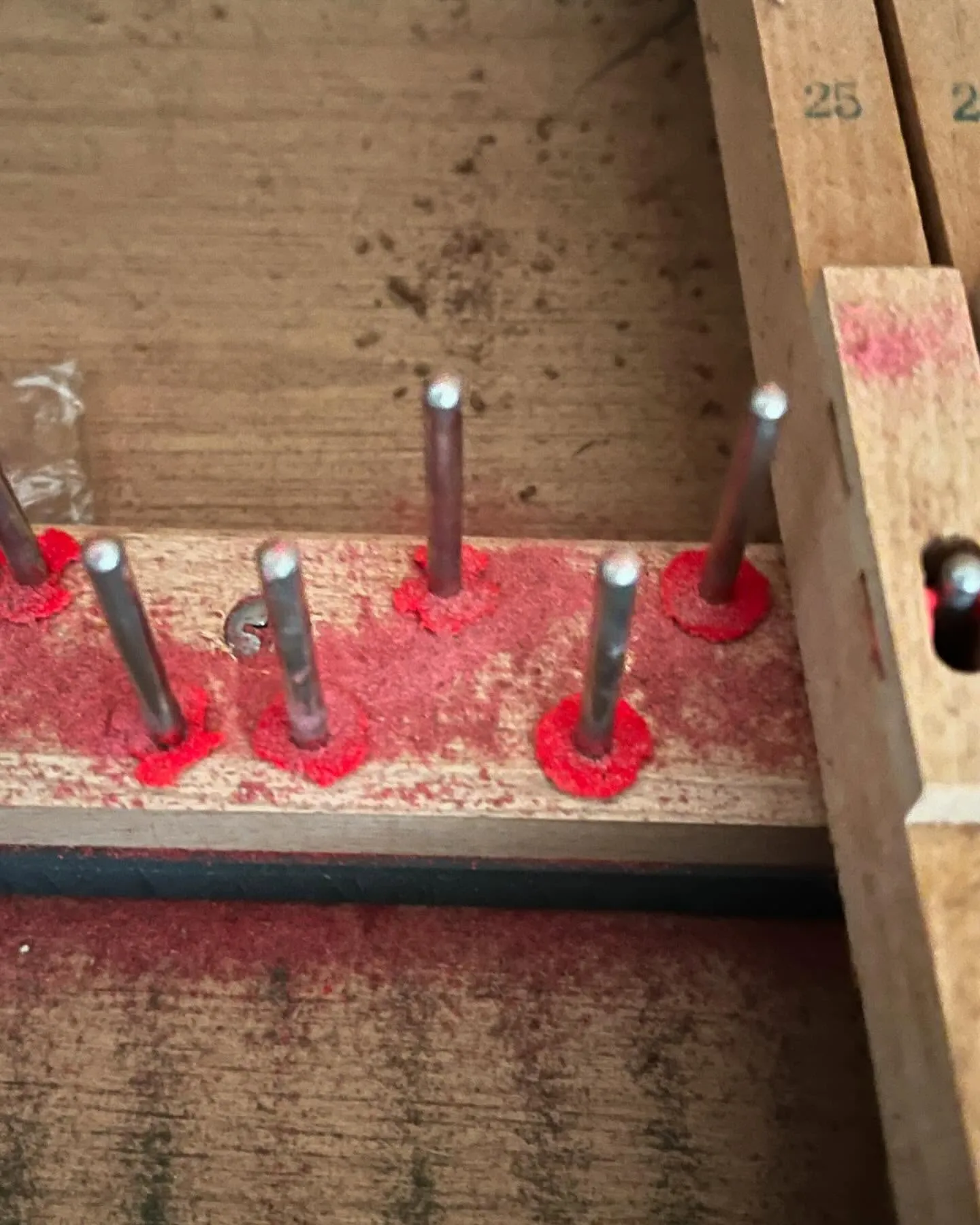 【害虫被害】ピアノの中に虫発生