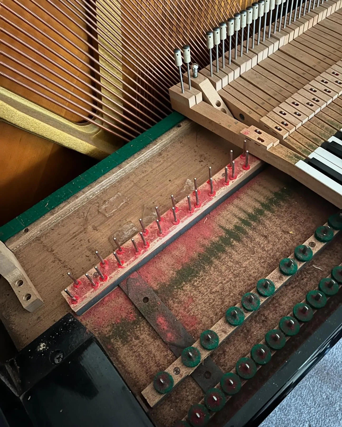 【害虫被害】ピアノの中に虫発生