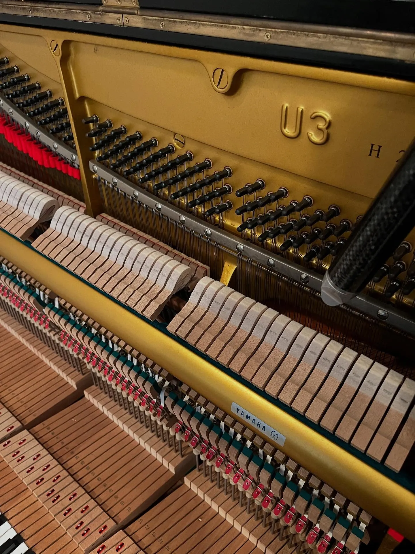 【久々のピアノ調律】何十年も調律されていないピアノ