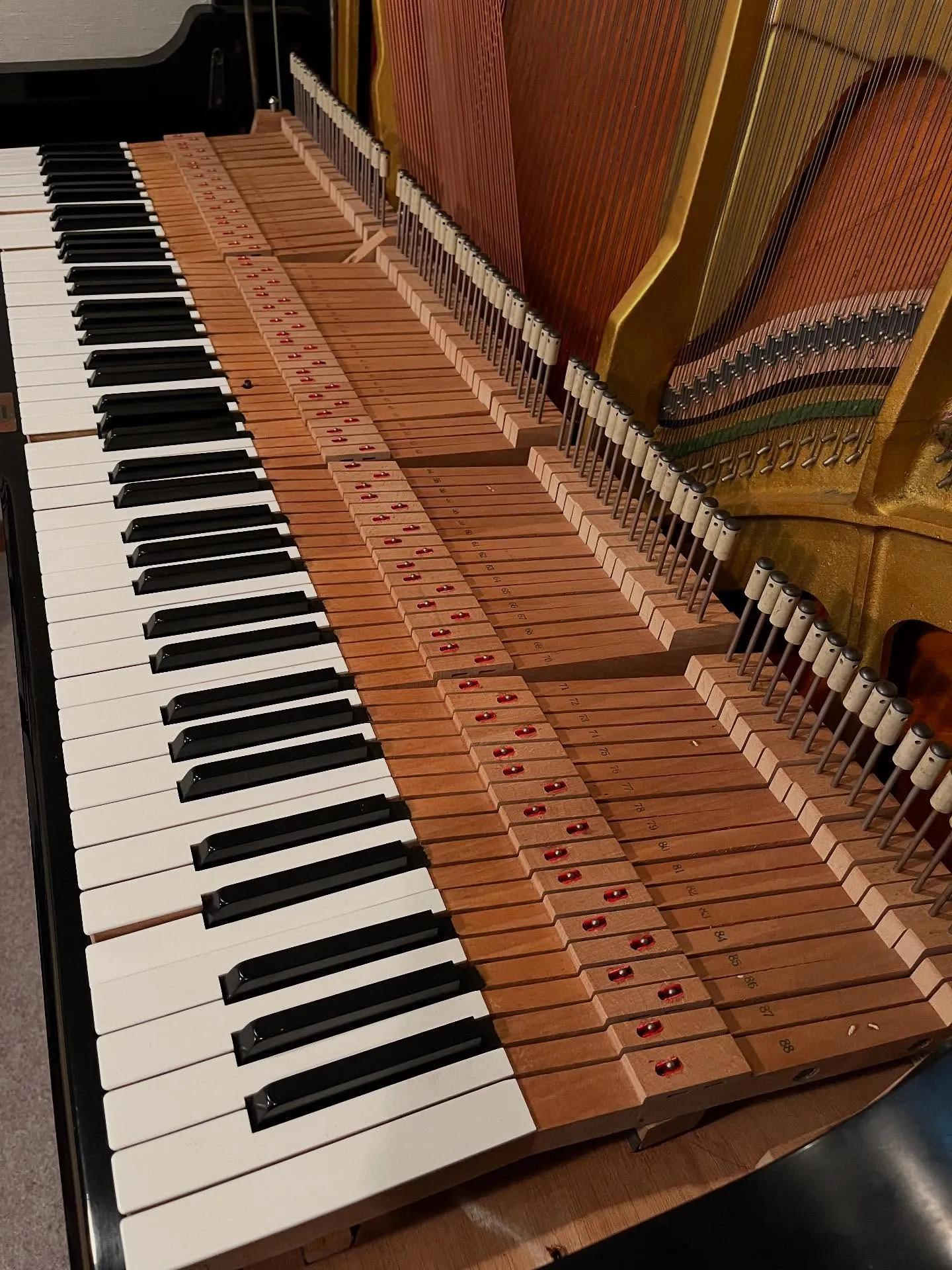【久々のピアノ調律】何十年も調律されていないピアノ