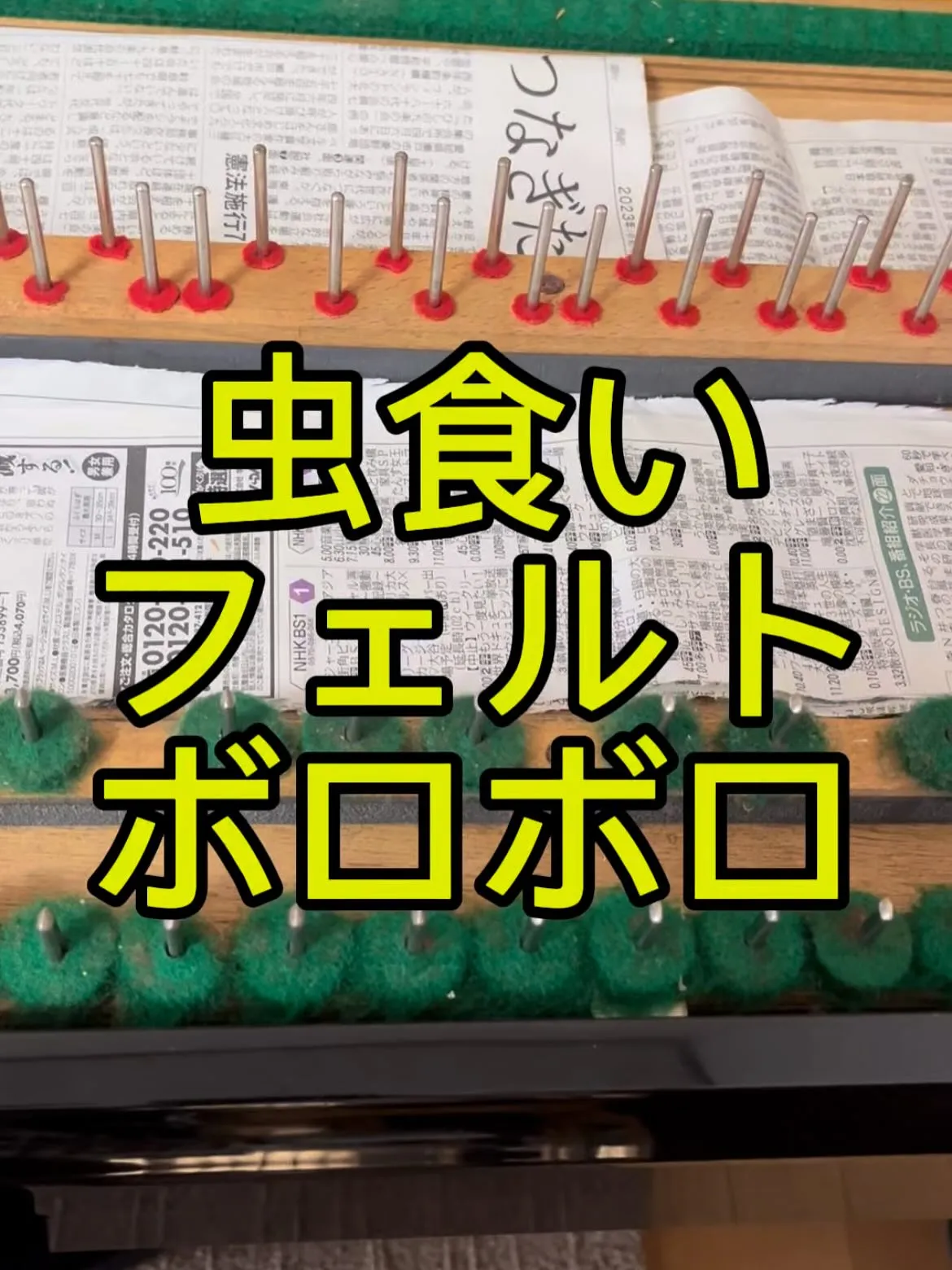【害虫発生】ピアノの中のフェルト類が食べられてる