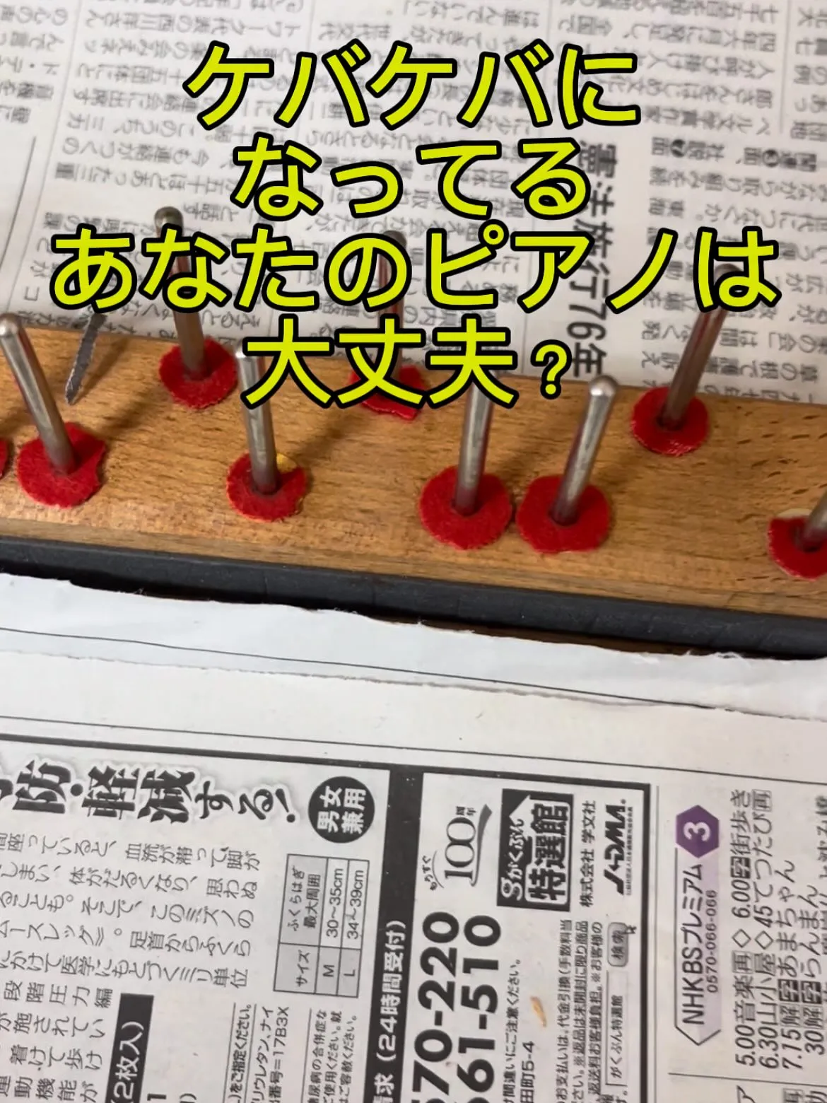 【害虫発生】ピアノの中のフェルト類が食べられてる