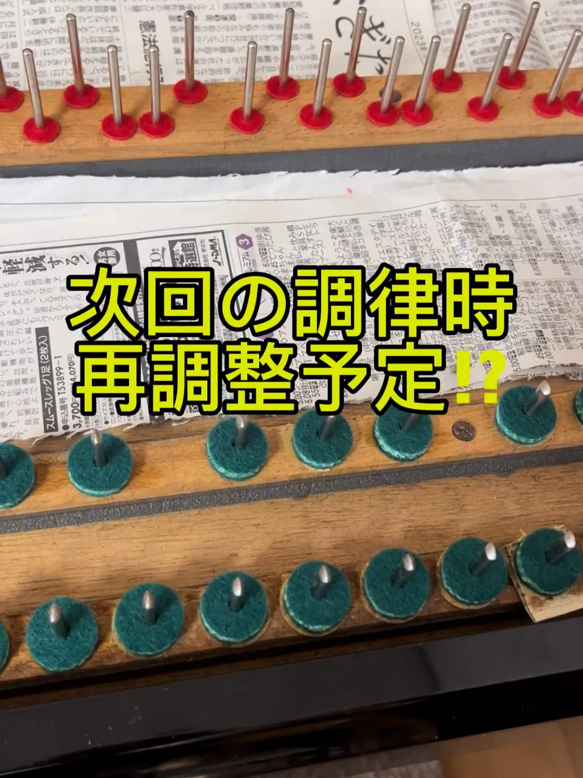 【害虫発生】ピアノの中のフェルト類が食べられてる