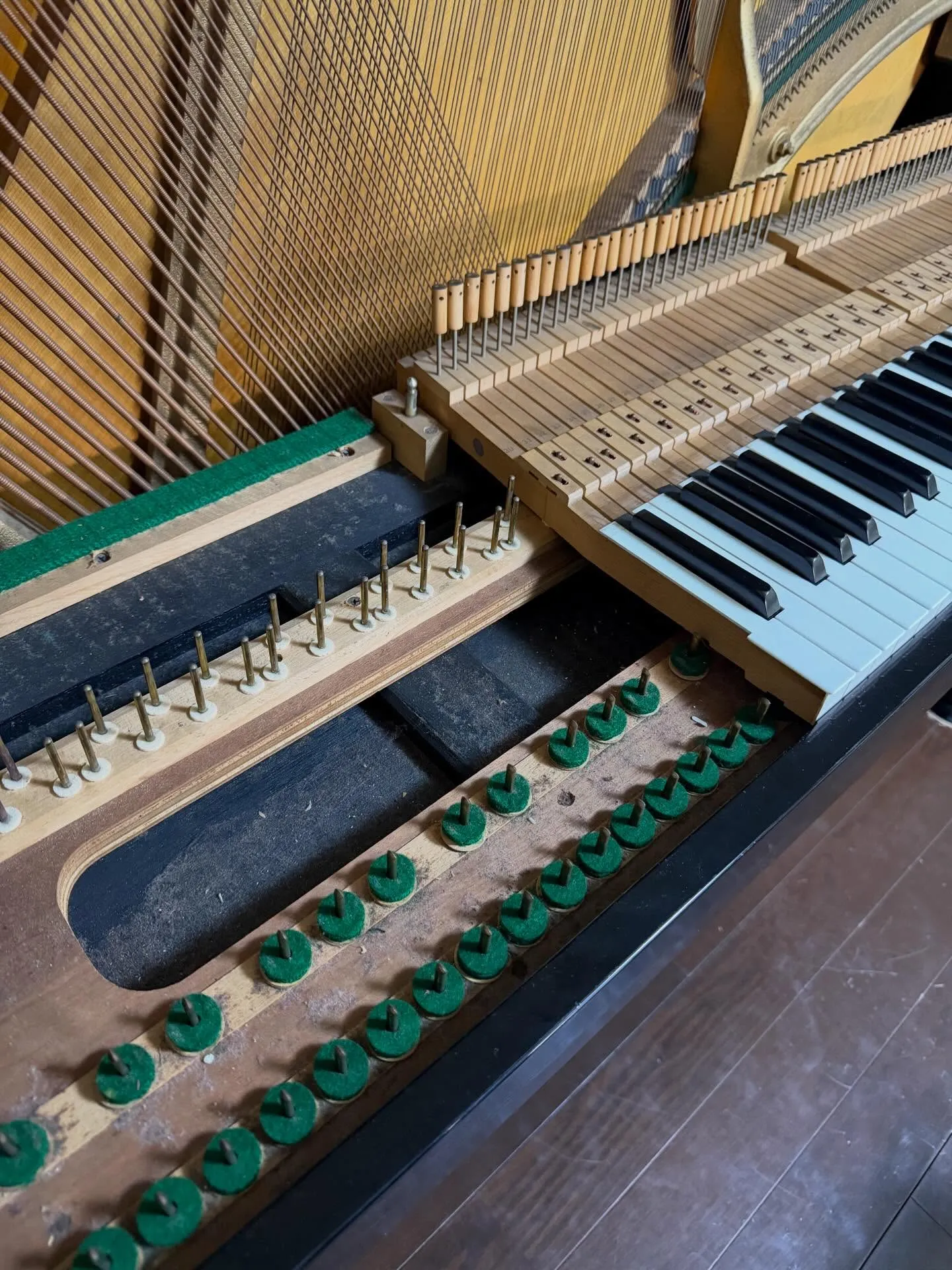 【鍵盤調整】ピアノ調律のちょっと真面目な話