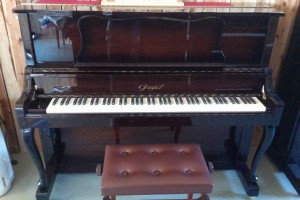 グランフィールピアノ Gf01Wn