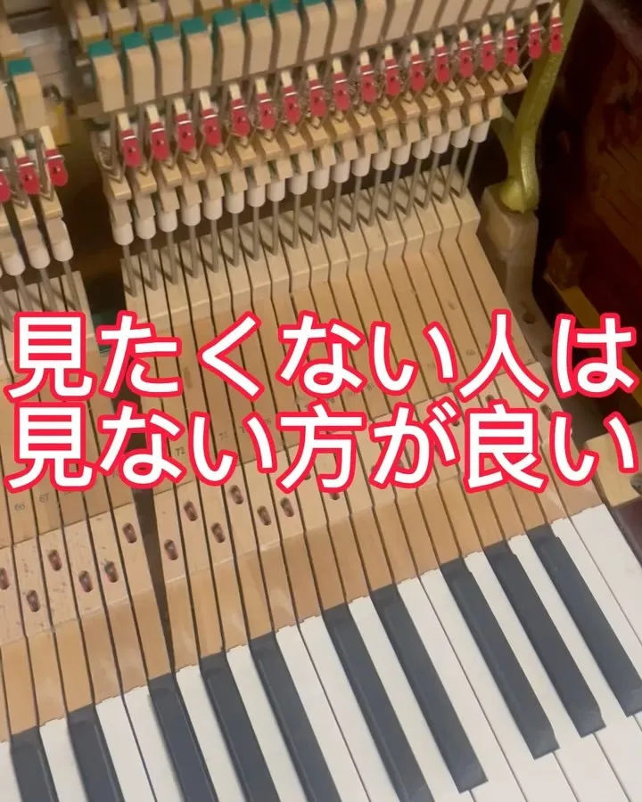 閲覧注意！見たくない人は見ないでください！