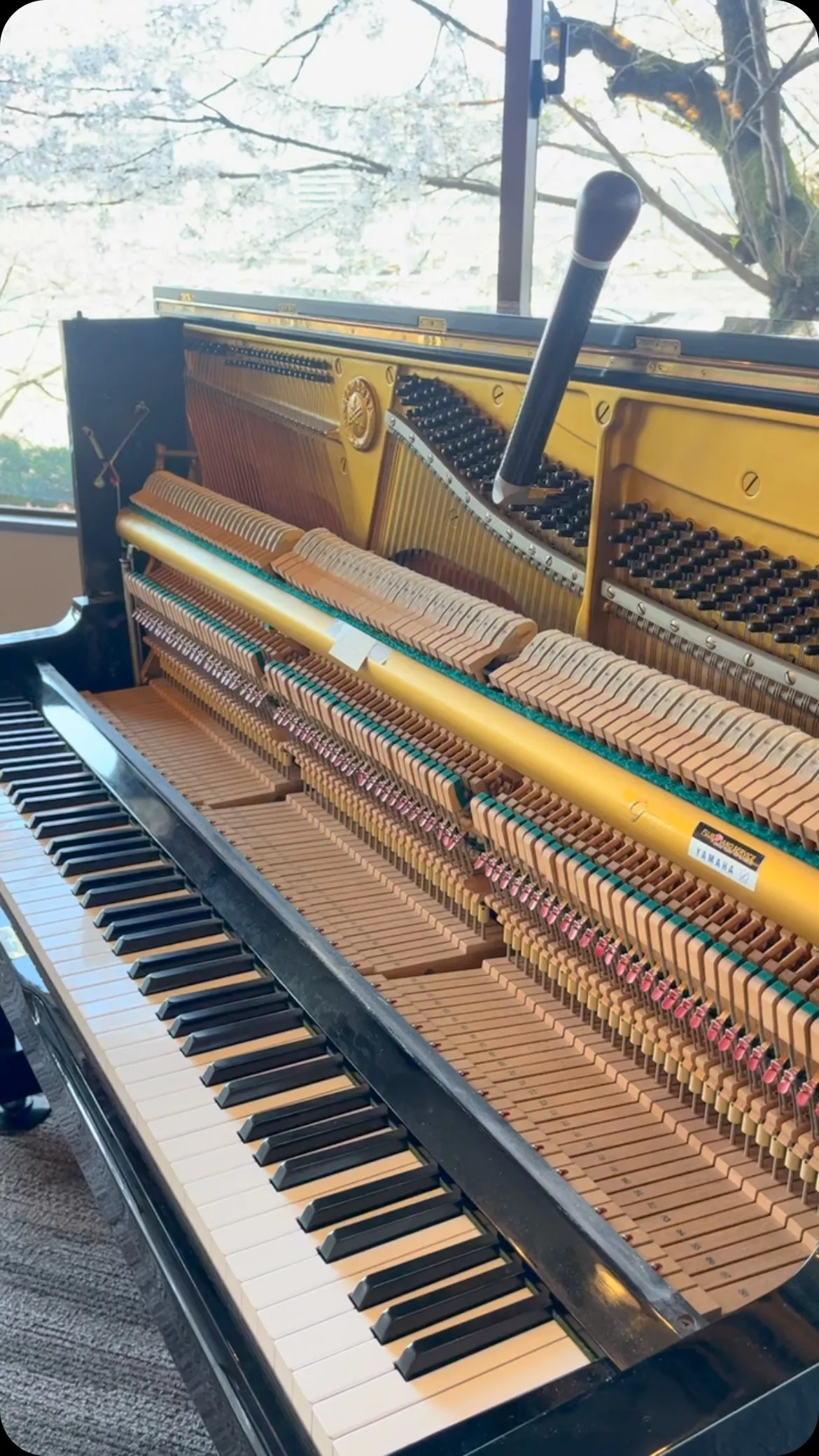 【レンタルピアノ】月額3,300円〜