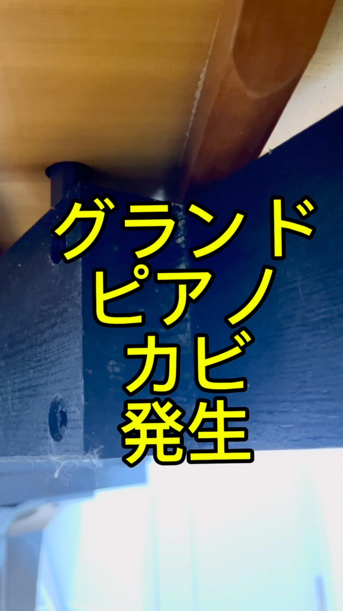 【ピアノクリーニング】