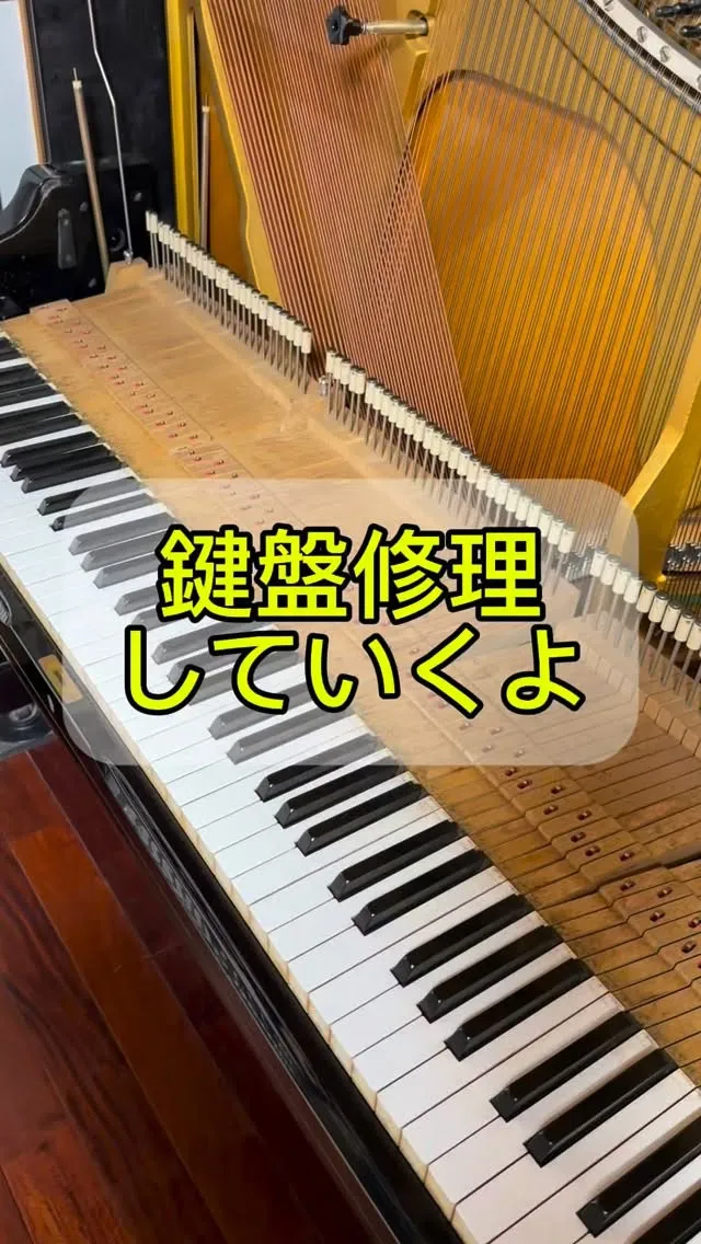 ピアノ修理・調整の現場でよくある作業のひとつが、**鍵盤の脱...