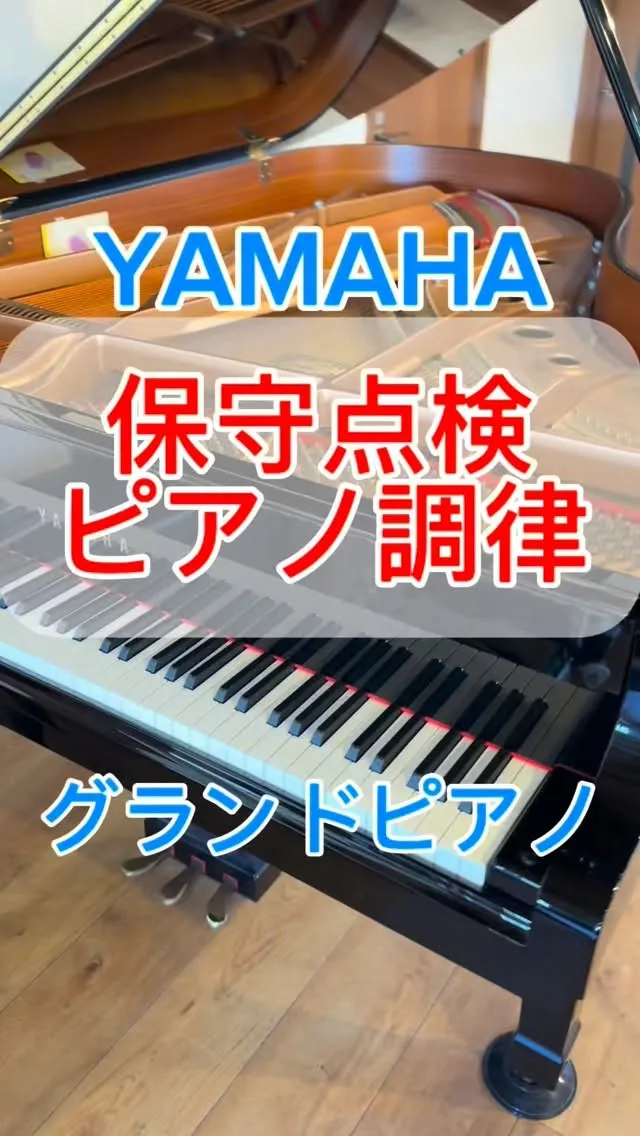 【保守点検】定期調律ではカバー出来ないところを重点的に♪ピア...