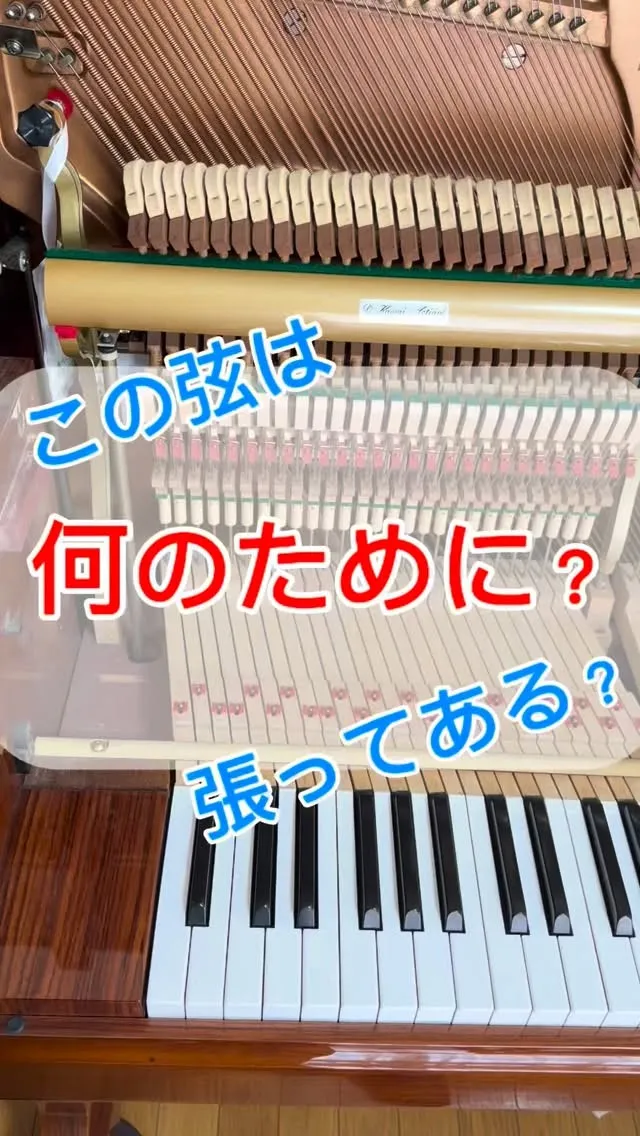【ピアノ調律】特殊な構造のピアノ！珍しいピアノ！