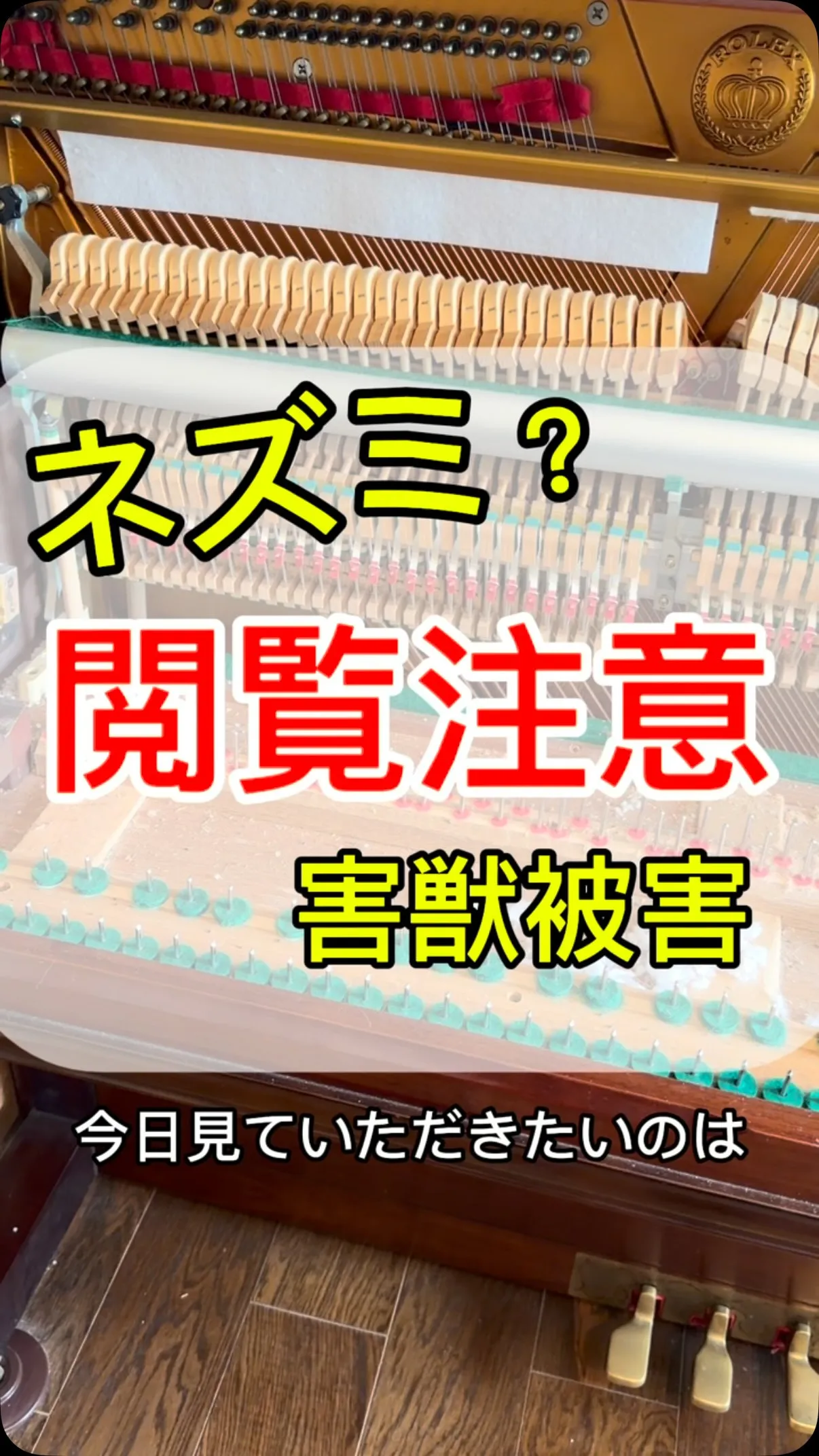 【ネズミの被害】リアルトムジェリ！ピアノの中にネズミが住みつ...