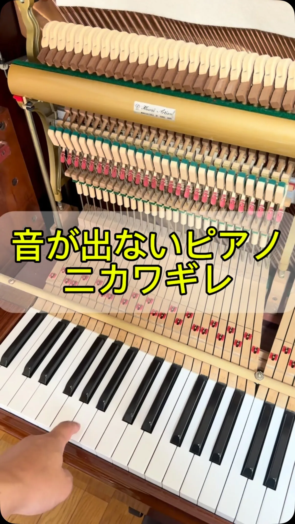 【修理】音の出ないピアノ！ニカワギレ！